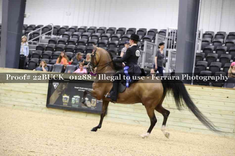 Proof 22BUCK_01288