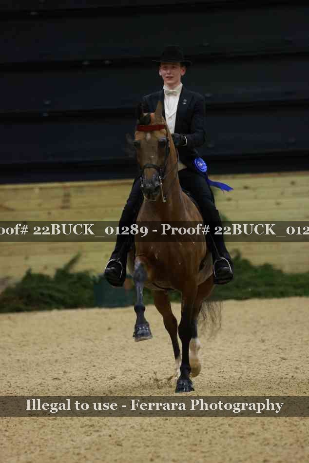 Proof 22BUCK_01289