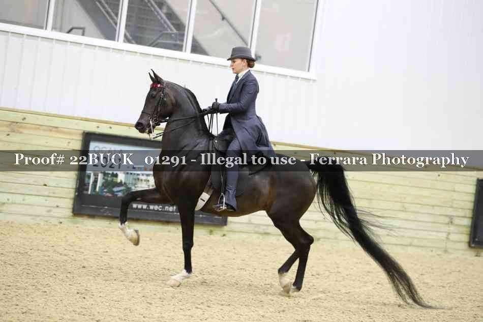 Proof 22BUCK_01291
