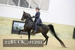 22BUCK_01291 proof