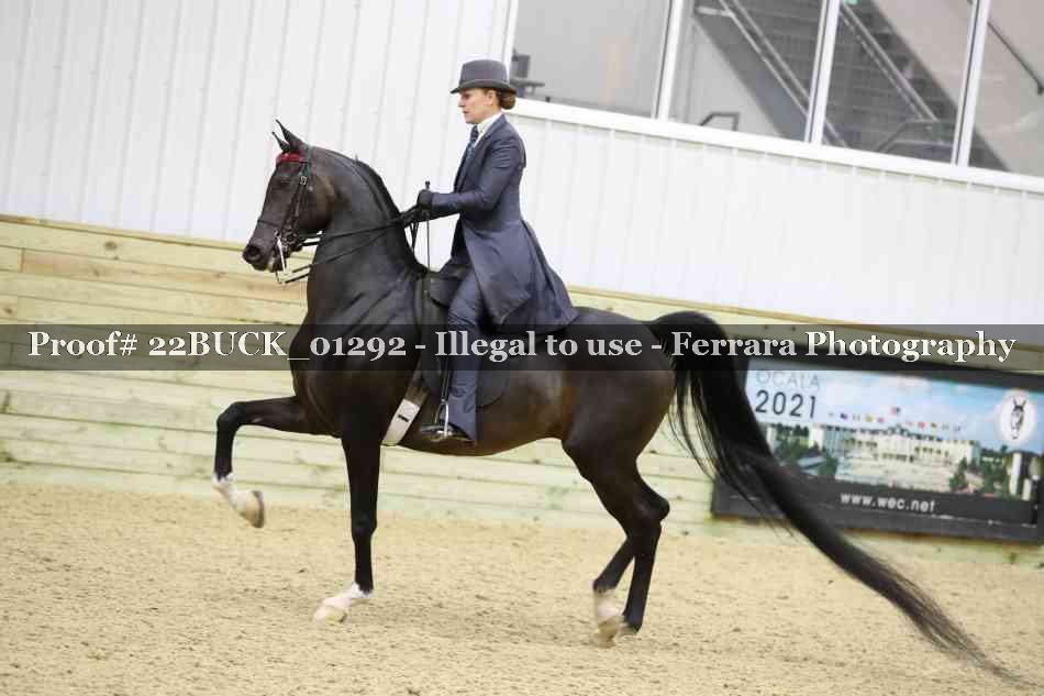 Proof 22BUCK_01292