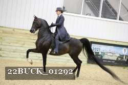 22BUCK_01292 proof