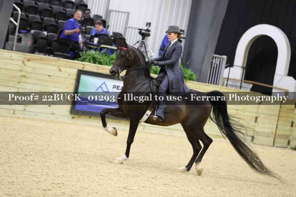Proof 22BUCK_01293