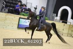 22BUCK_01293 proof
