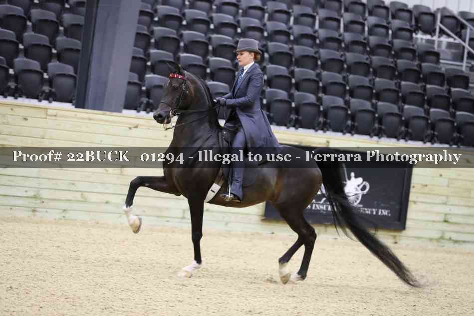 Proof 22BUCK_01294