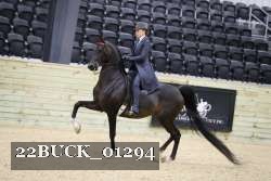 22BUCK_01294 proof