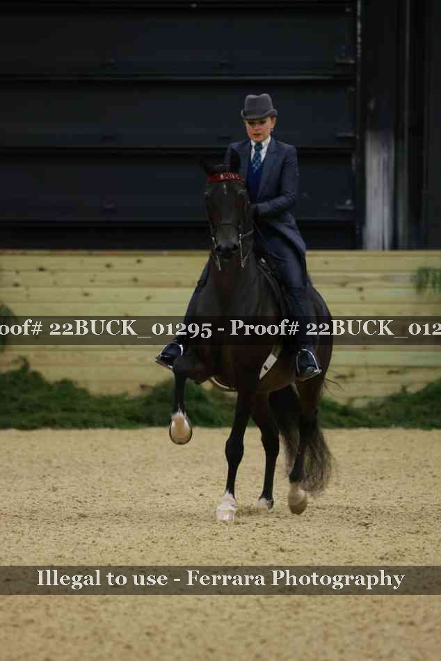 Proof 22BUCK_01295