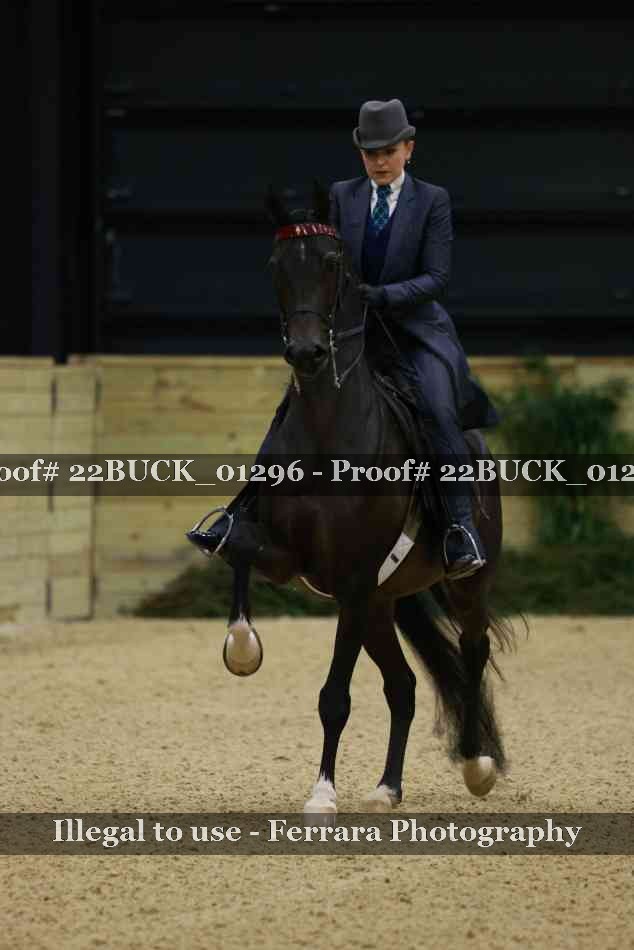 Proof 22BUCK_01296