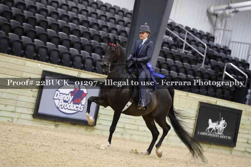 Proof 22BUCK_01297