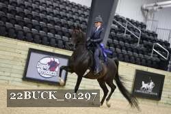 22BUCK_01297 proof