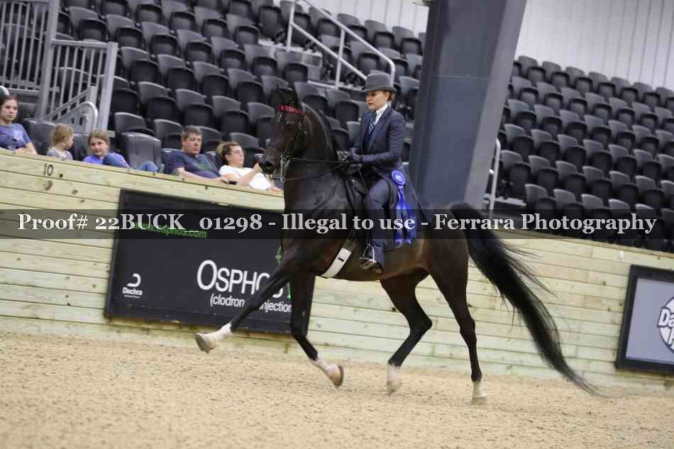 Proof 22BUCK_01298