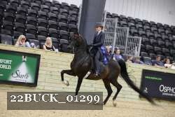 22BUCK_01299 proof