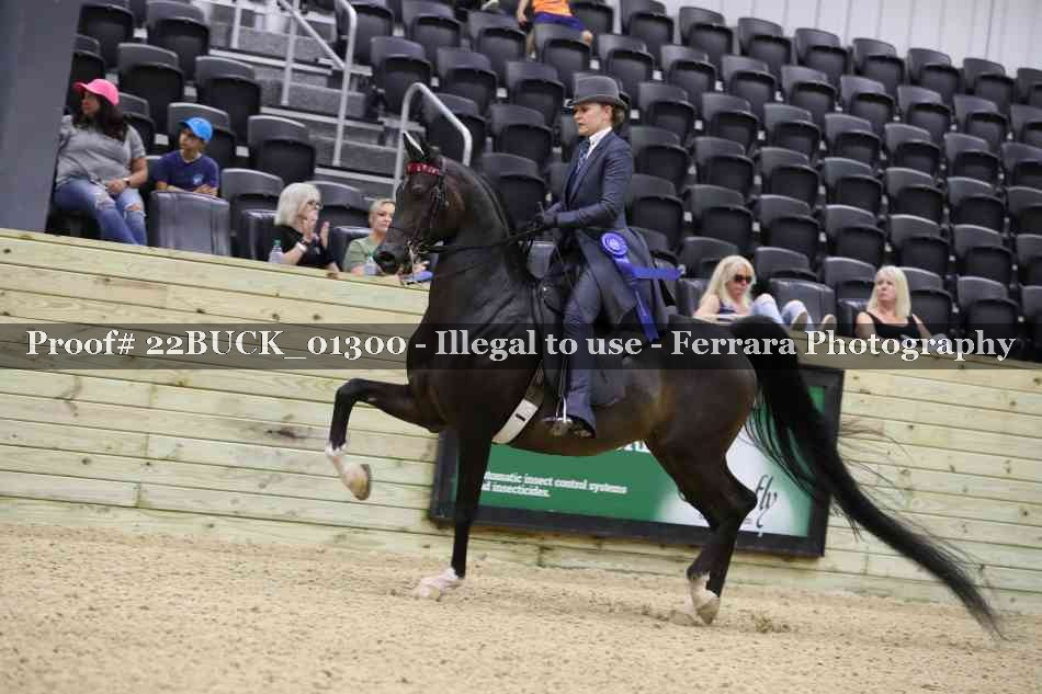 Proof 22BUCK_01300