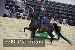 22BUCK_01300 proof