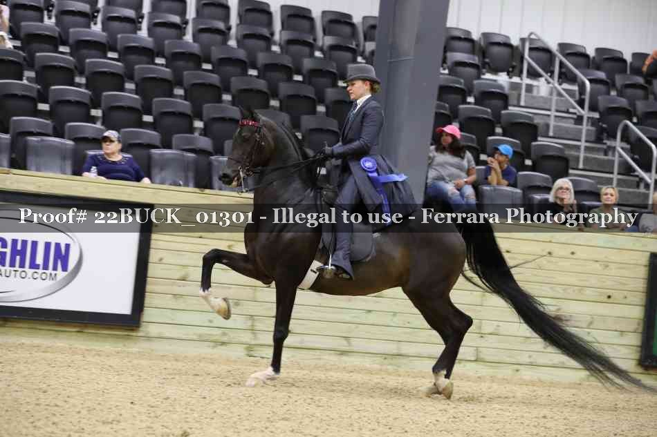 Proof 22BUCK_01301