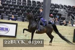 22BUCK_01301 proof