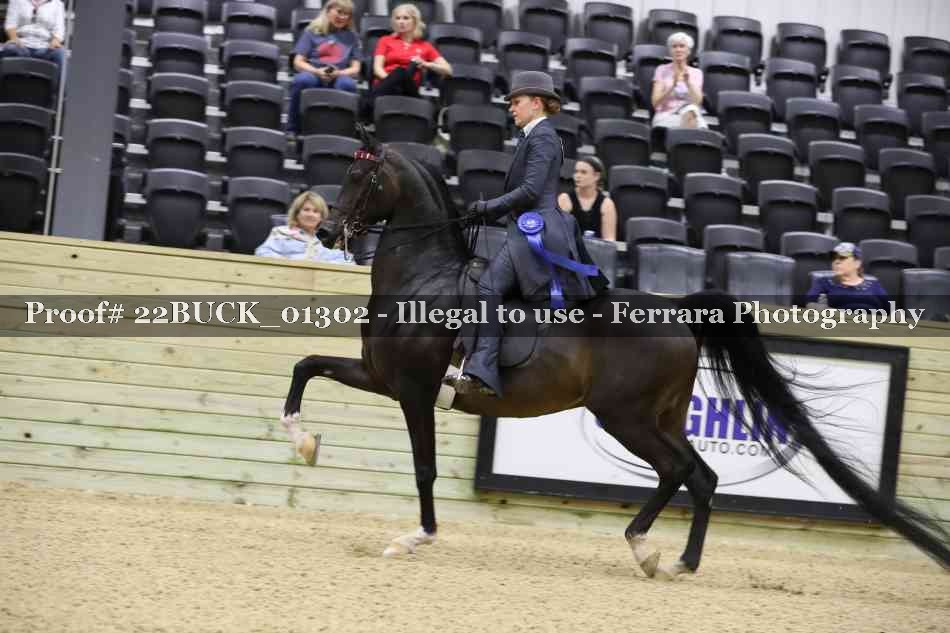 Proof 22BUCK_01302