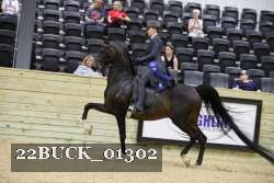 22BUCK_01302 proof