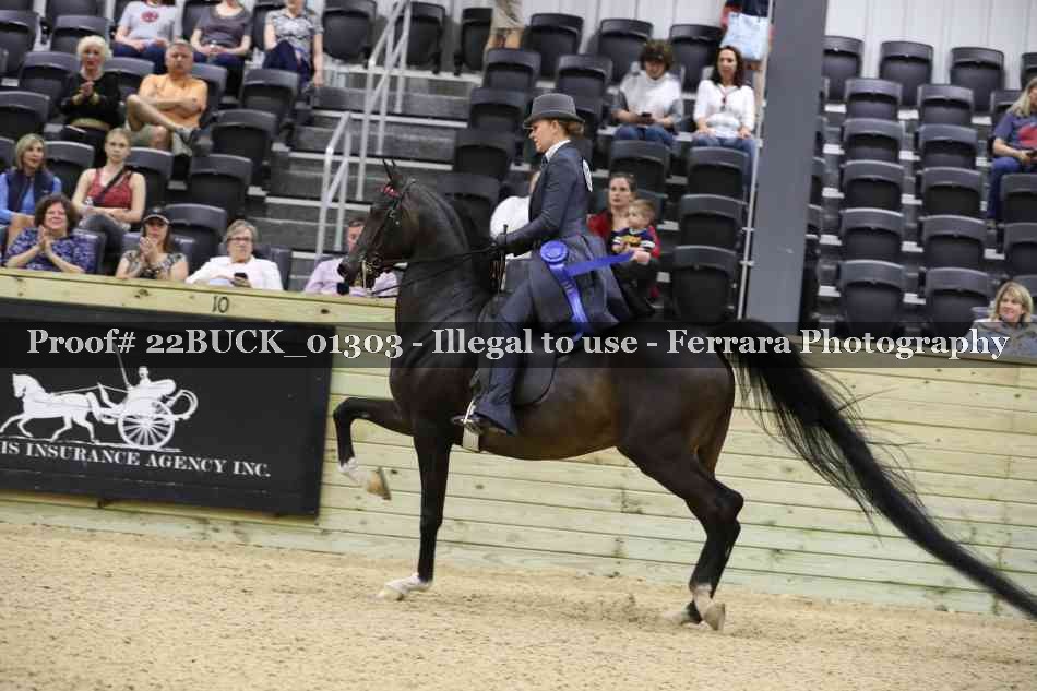 Proof 22BUCK_01303