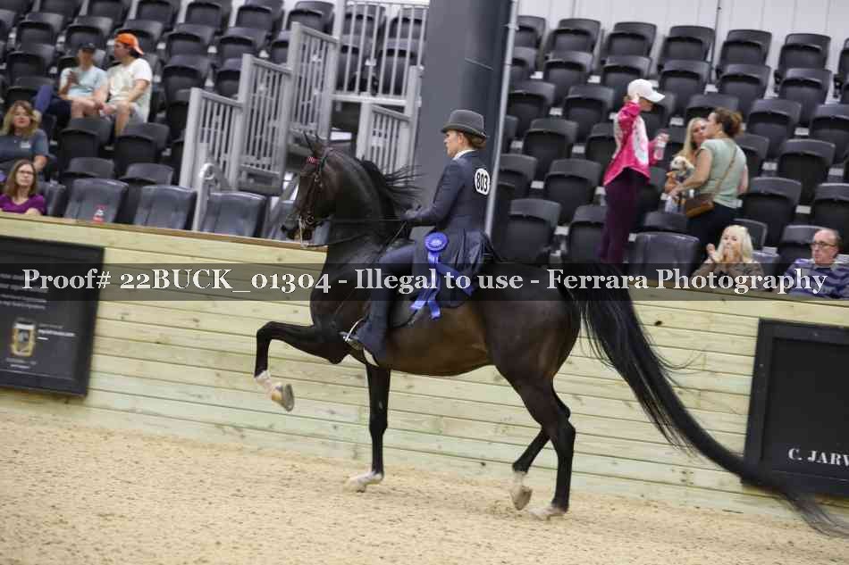Proof 22BUCK_01304