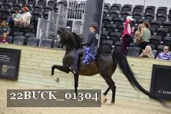 22BUCK_01304 proof