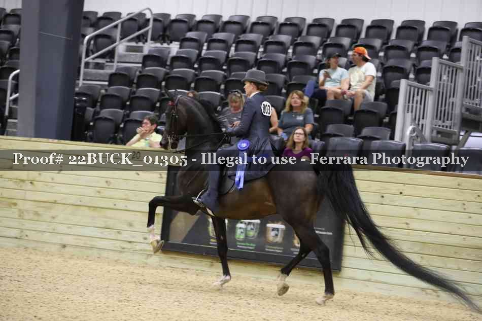 Proof 22BUCK_01305