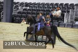 22BUCK_01305 proof