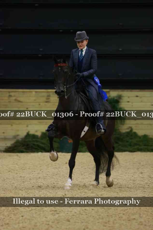 Proof 22BUCK_01306