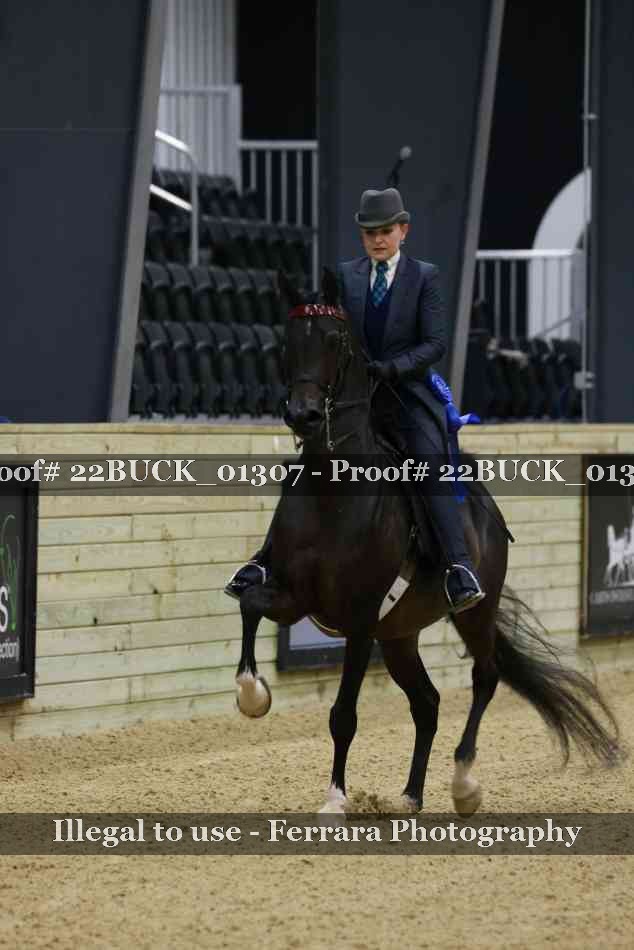 Proof 22BUCK_01307