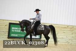22BUCK_01308 proof
