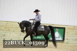 22BUCK_01309 proof