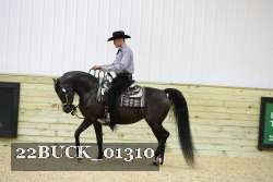 22BUCK_01310 proof
