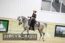 22BUCK_01311 proof