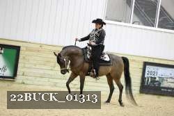 22BUCK_01313 proof