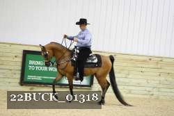 22BUCK_01318 proof