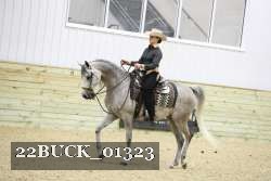 22BUCK_01323 proof