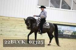 22BUCK_01325 proof