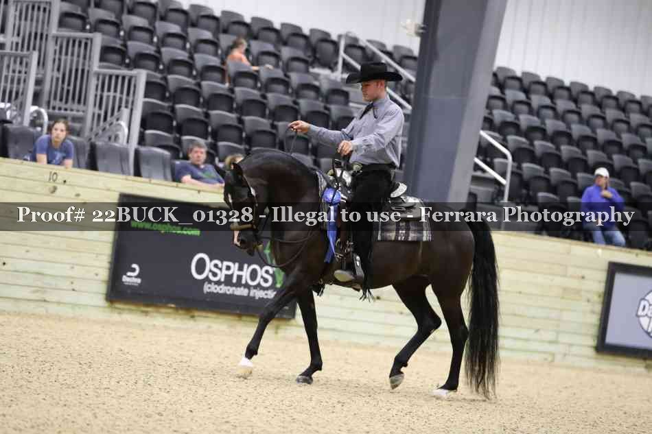 Proof 22BUCK_01328