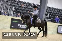 22BUCK_01328 proof