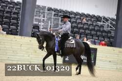 22BUCK_01329 proof