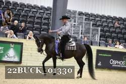 22BUCK_01330 proof