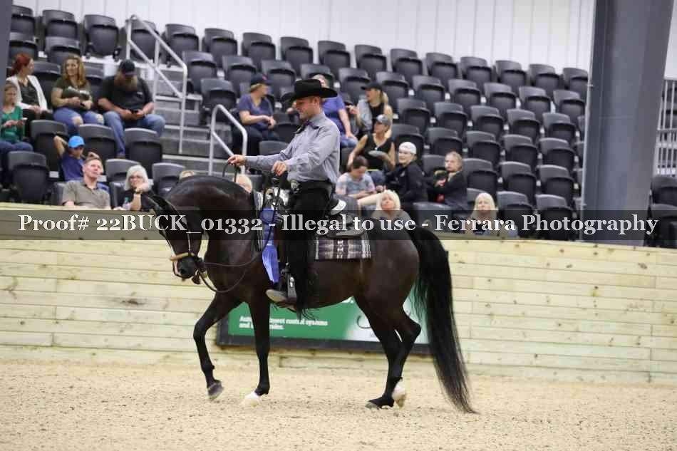 Proof 22BUCK_01332