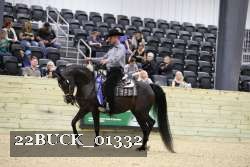 22BUCK_01332 proof