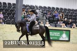 22BUCK_01333 proof