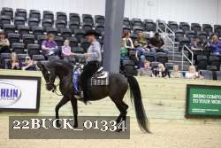 22BUCK_01334 proof