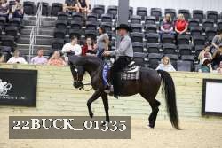 22BUCK_01335 proof