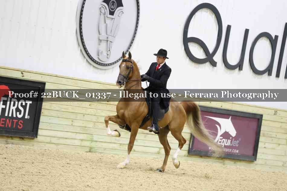 Proof 22BUCK_01337