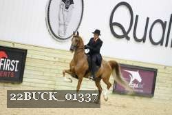 22BUCK_01337 proof