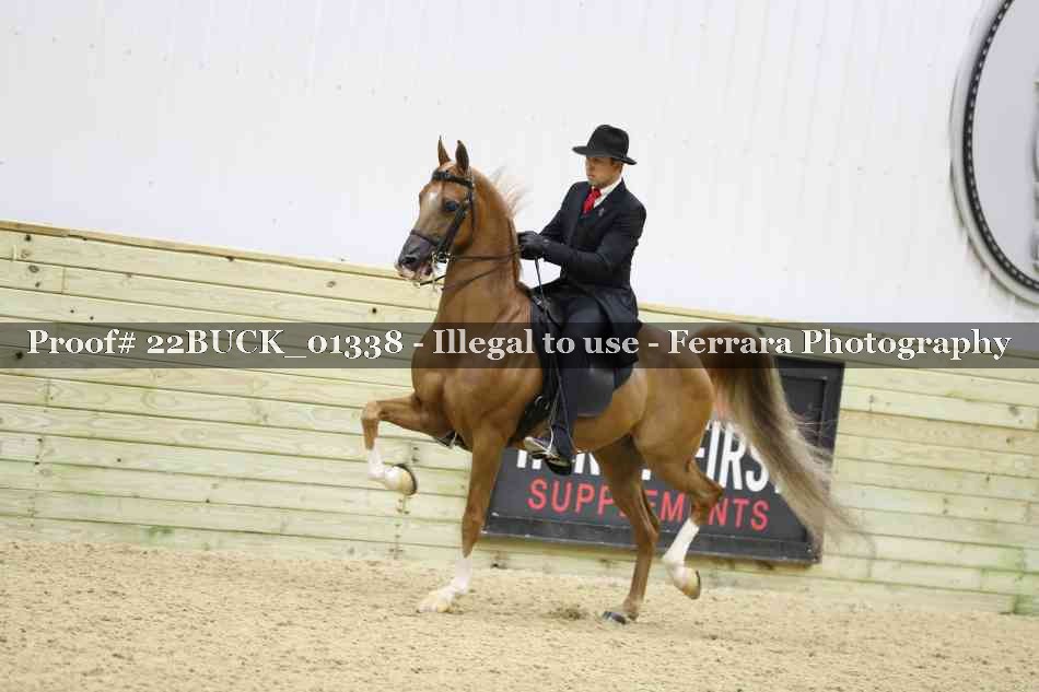 Proof 22BUCK_01338