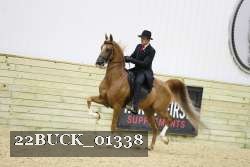 22BUCK_01338 proof